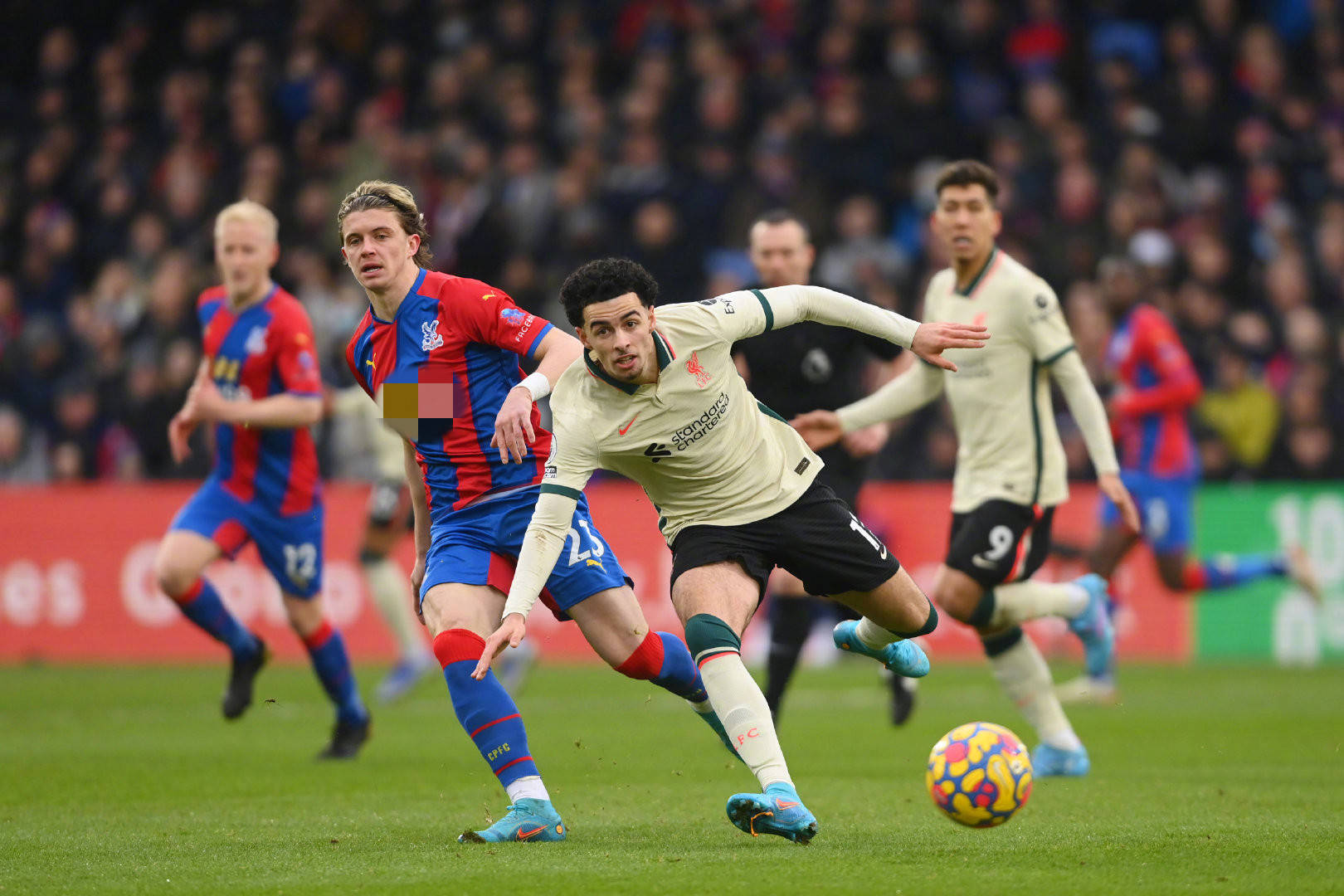 汉堡在新赛 汉堡在新赛